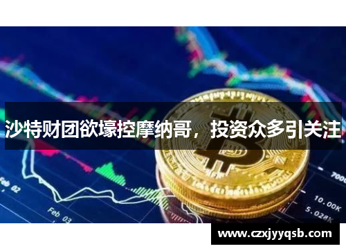 沙特财团欲壕控摩纳哥，投资众多引关注